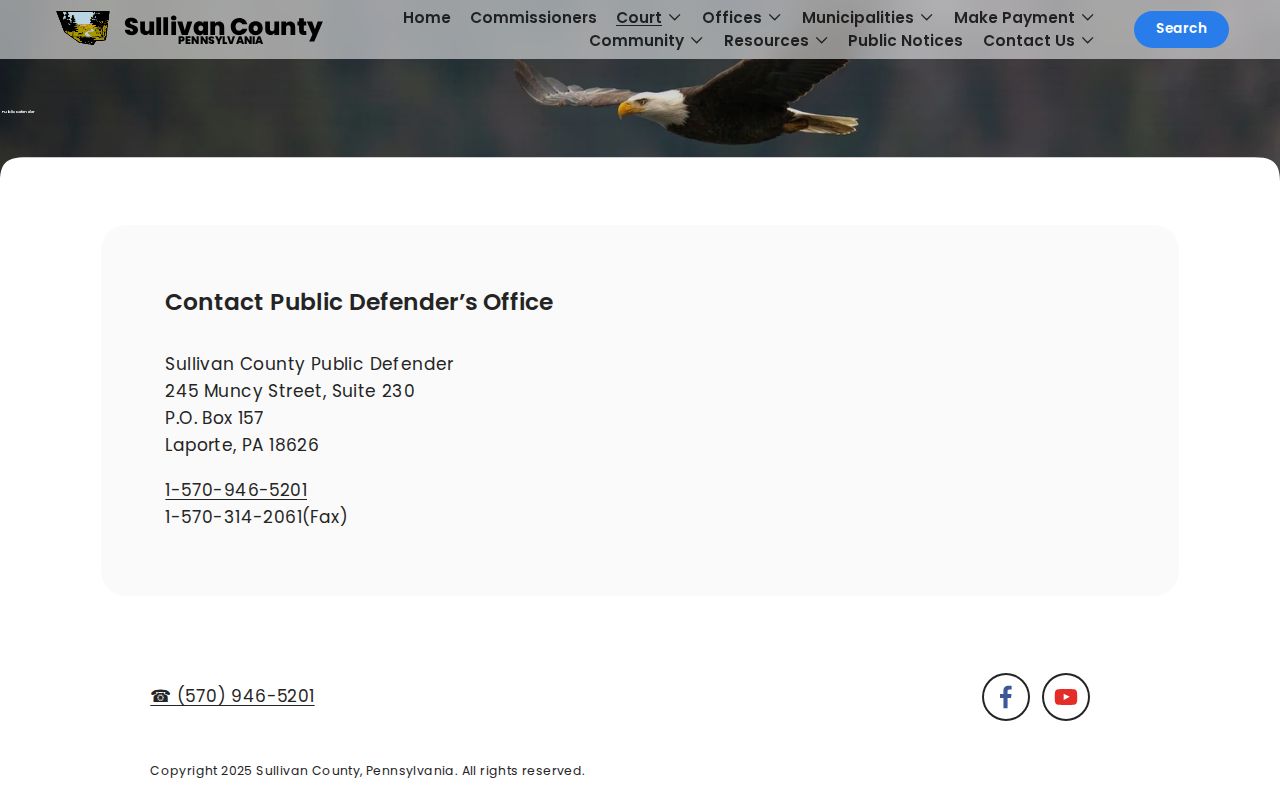 Sullivan County Public Defender criminal court case information